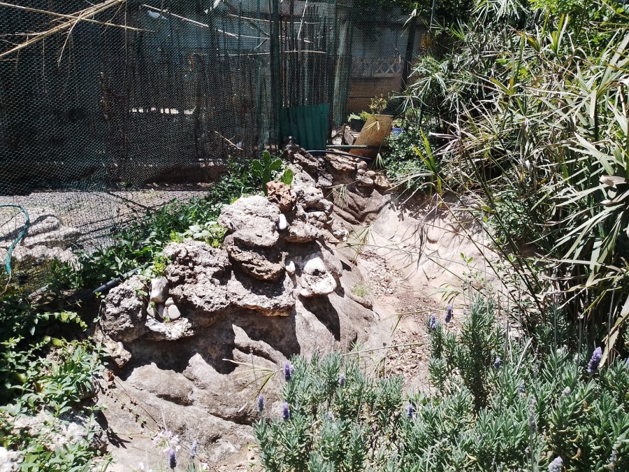 4 Bedroom Property for Sale in Brandfort Free State